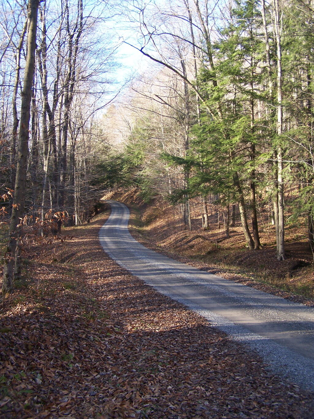 Forest Service Route 262