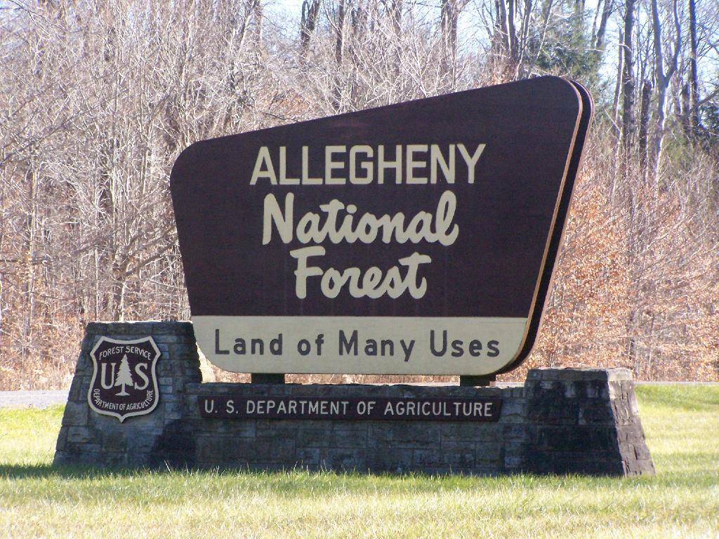 Allegany National Forest Sign