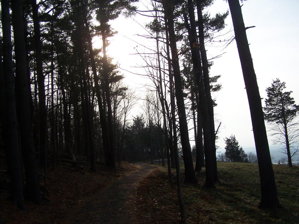 Along the Ridge Path
