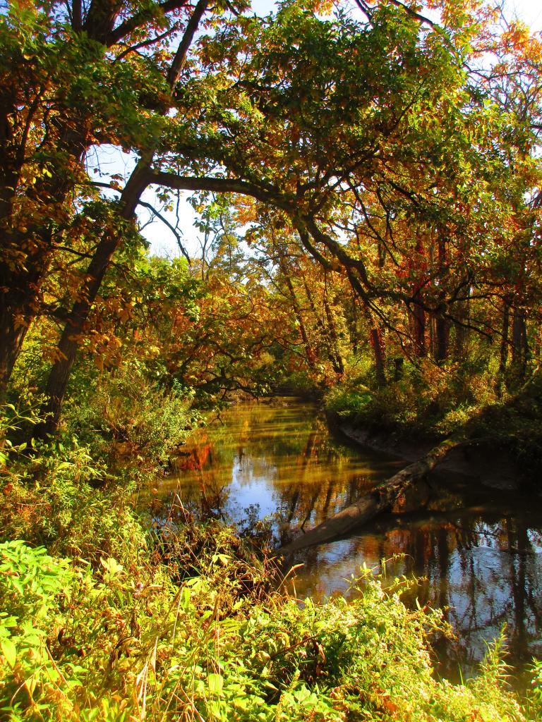 Mill Creek [Expires October 19 2023]