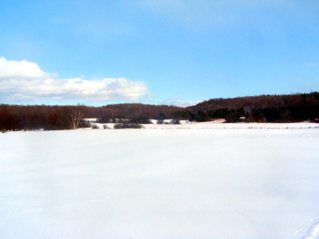 Snow Covered Farm Fields