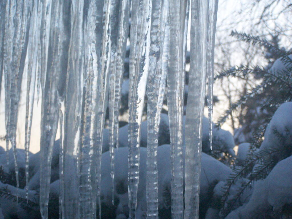 Icicles on the Window