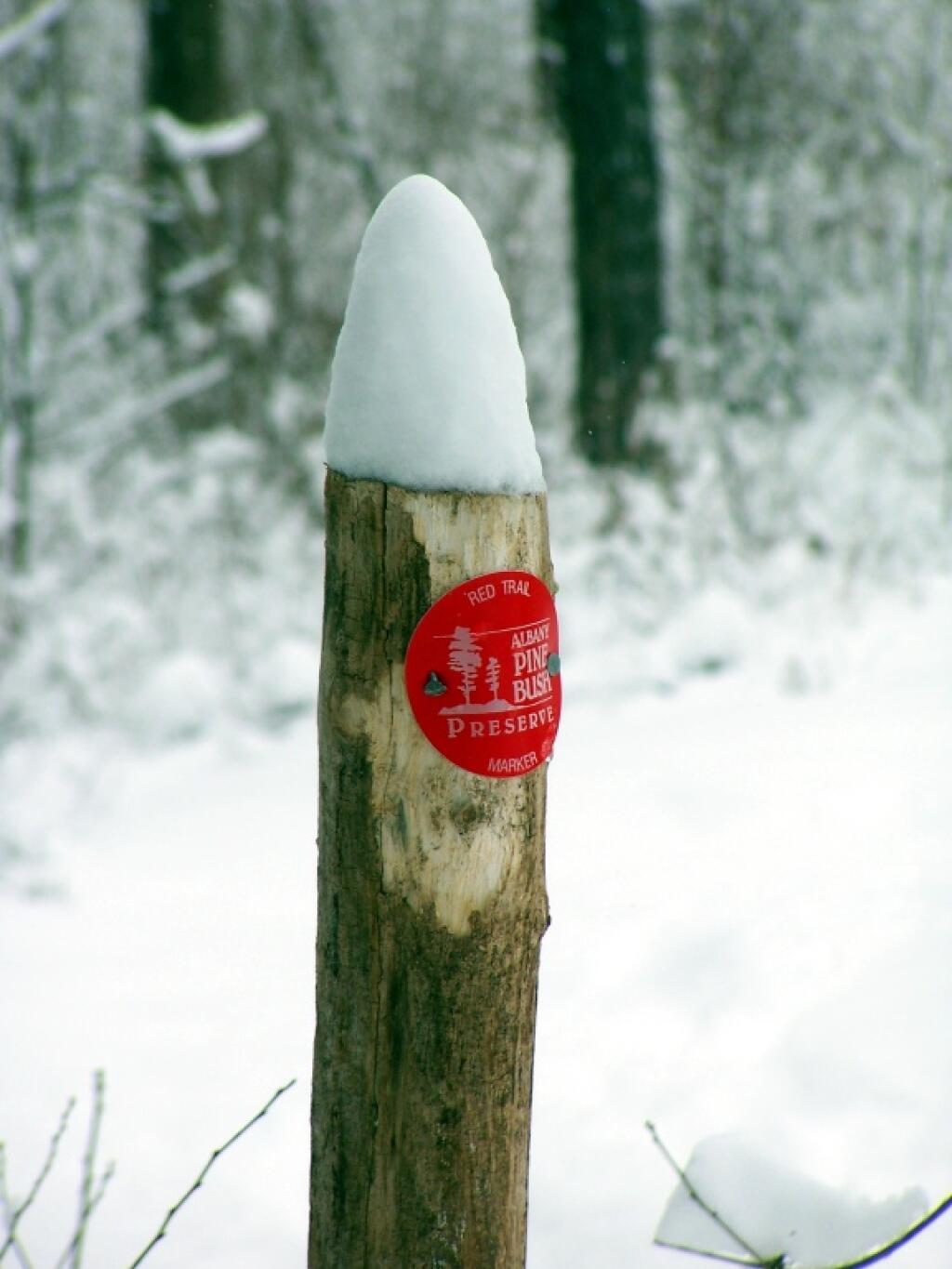 Red Trail Marker
