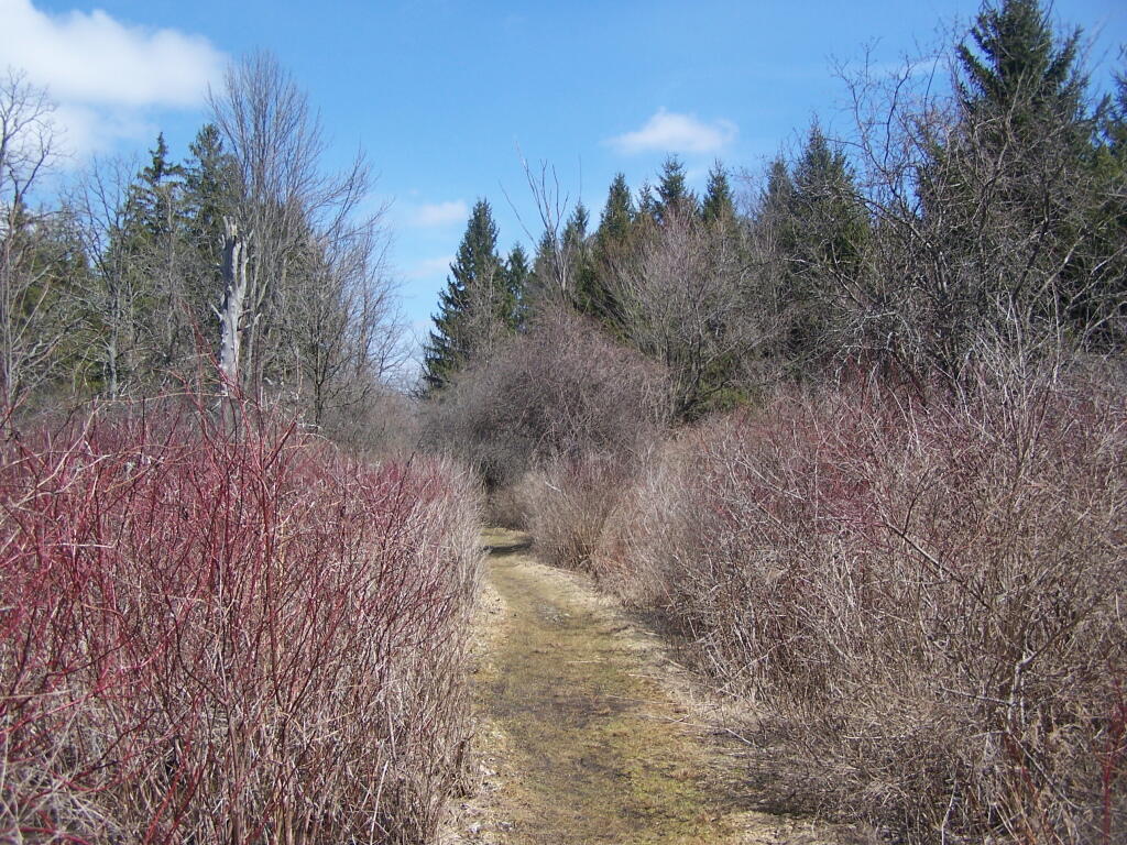 Pond Loop Trail