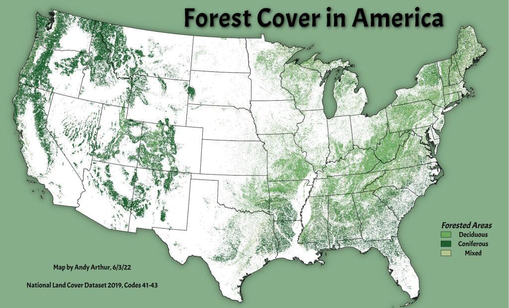 Forest Cover in America