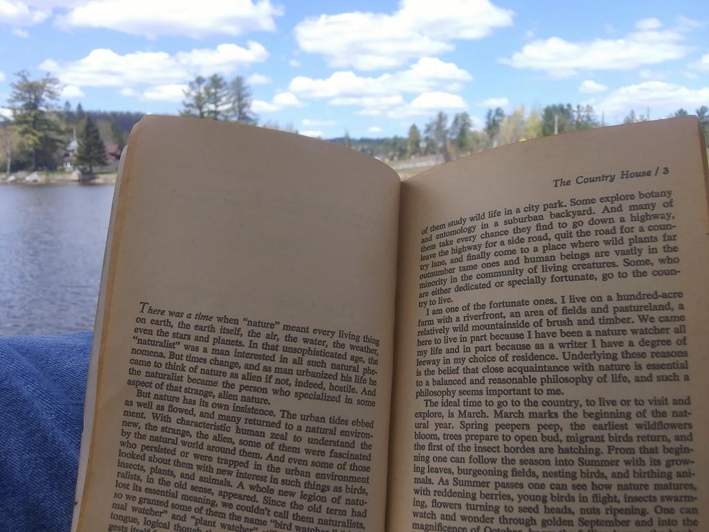 Reading down by the lake 