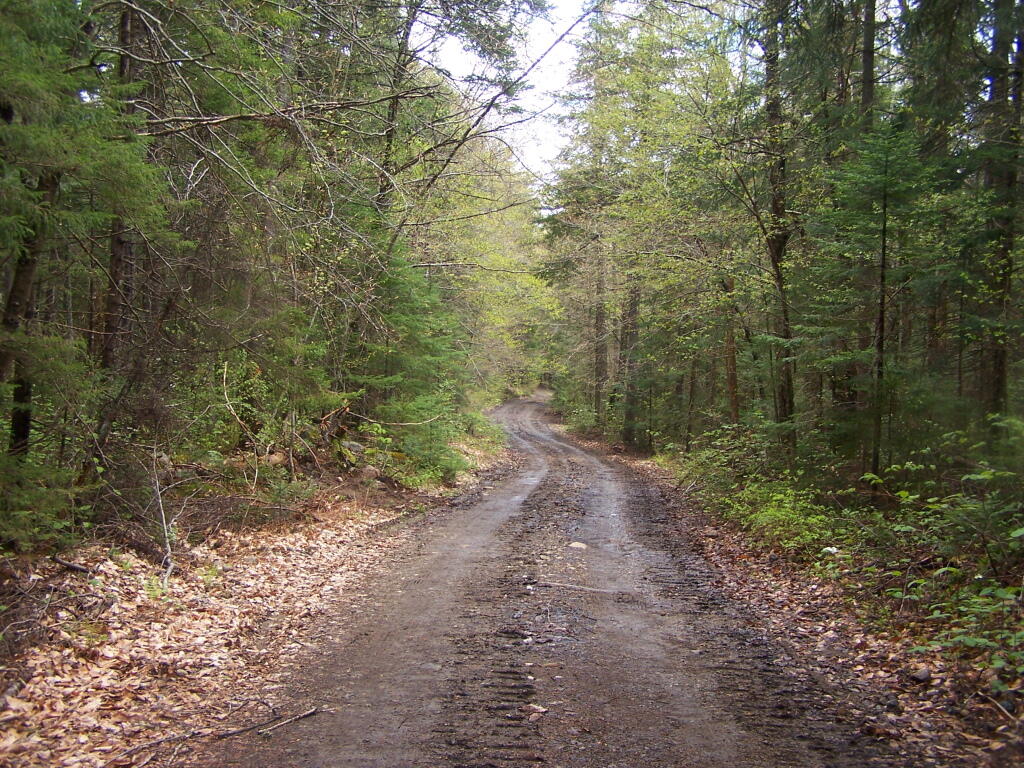 Less Muddy Section of Moose Club Way