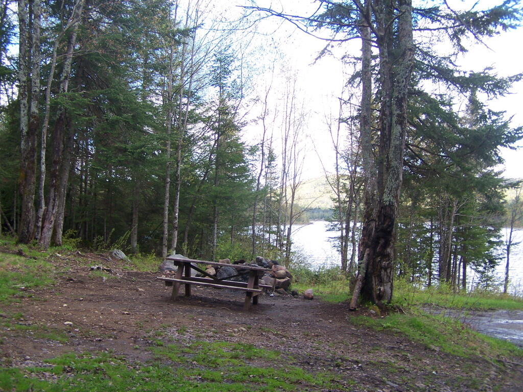 Road Campsite at Cheney Pond