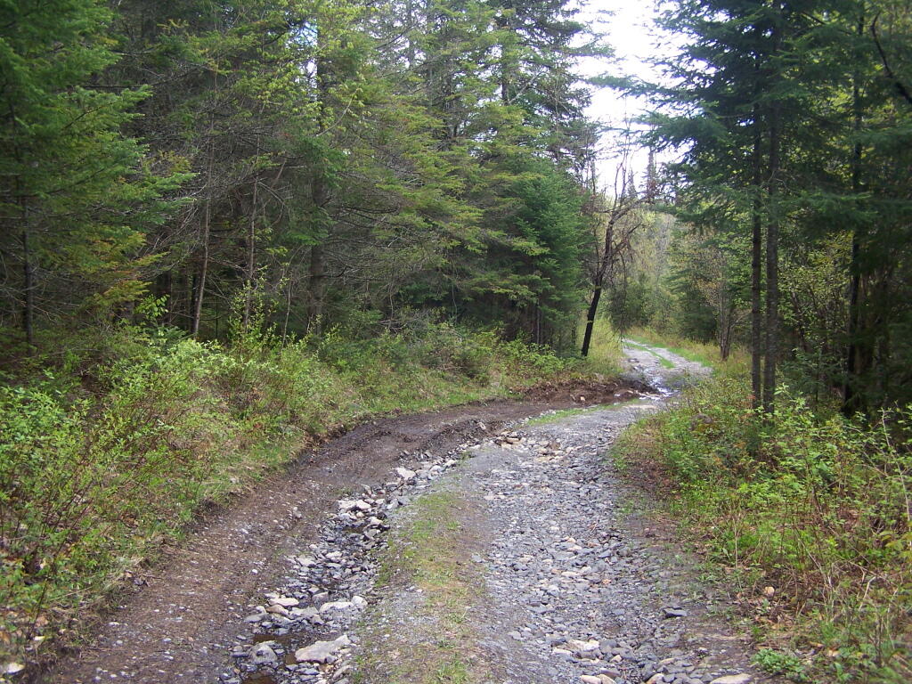 Washed Out Section of Cheney Pond Road