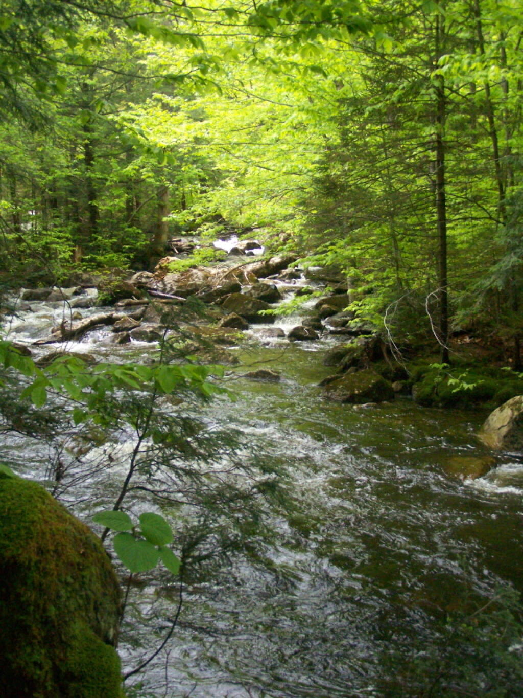 Full East Canada Creek