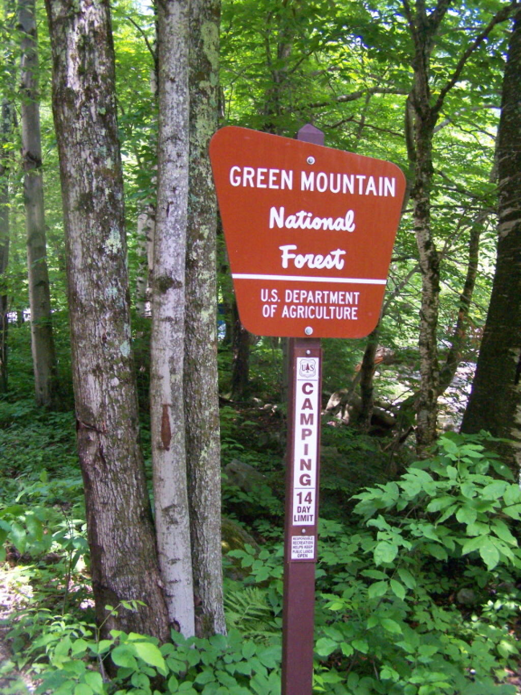 Green Mountain National Forest
