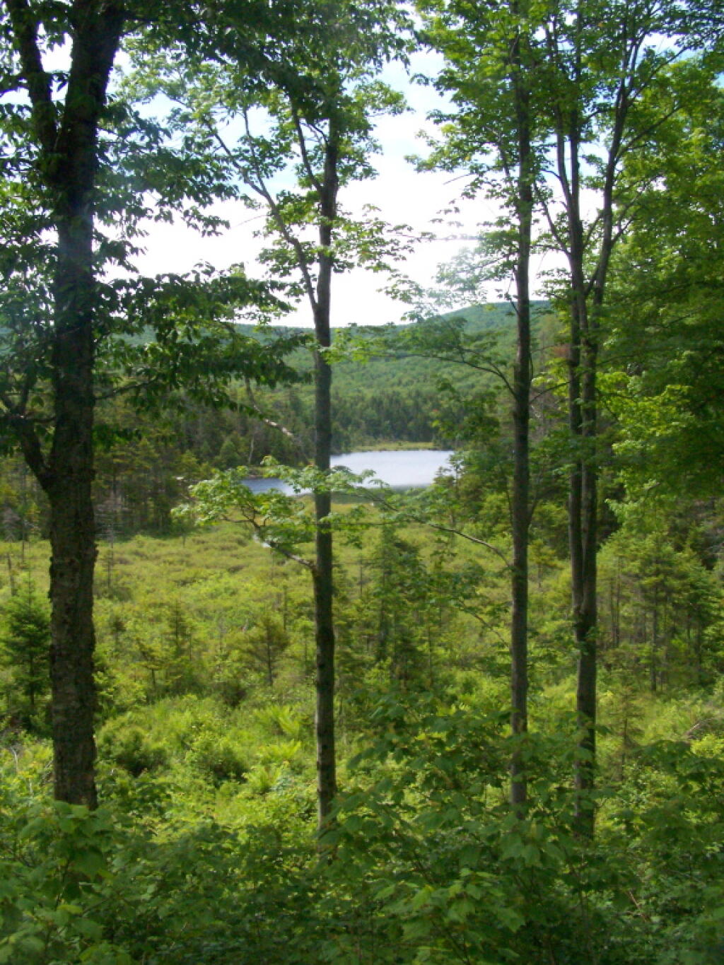 Beebe Pond as Seen from Kelly Stand Road