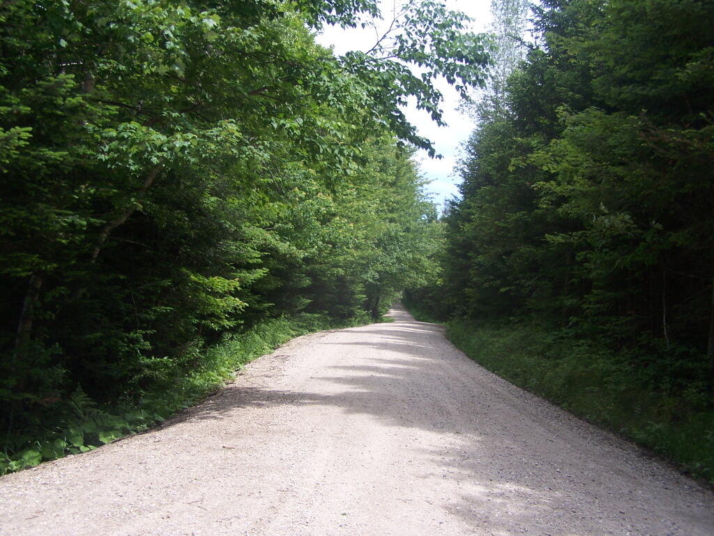 Recently Resurfaced Forest Road 71