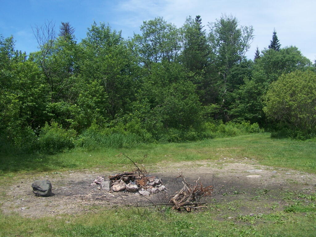Example of a Camp Site at Somerset Airfield Camping Area