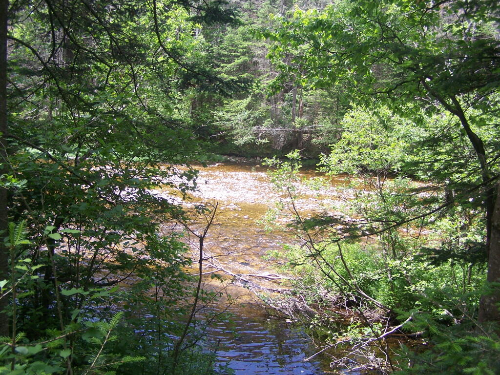 Deerfield River As Seen from Airfield Camping Area