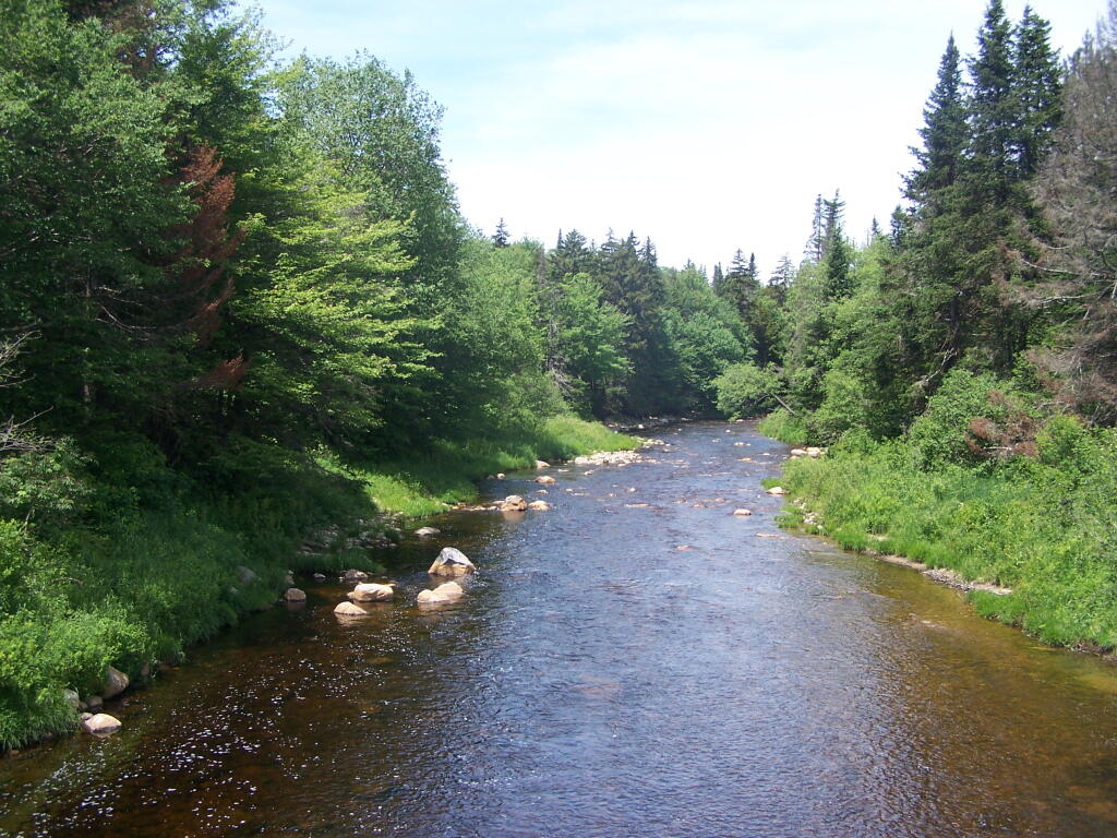 East Branch of Deerfield River