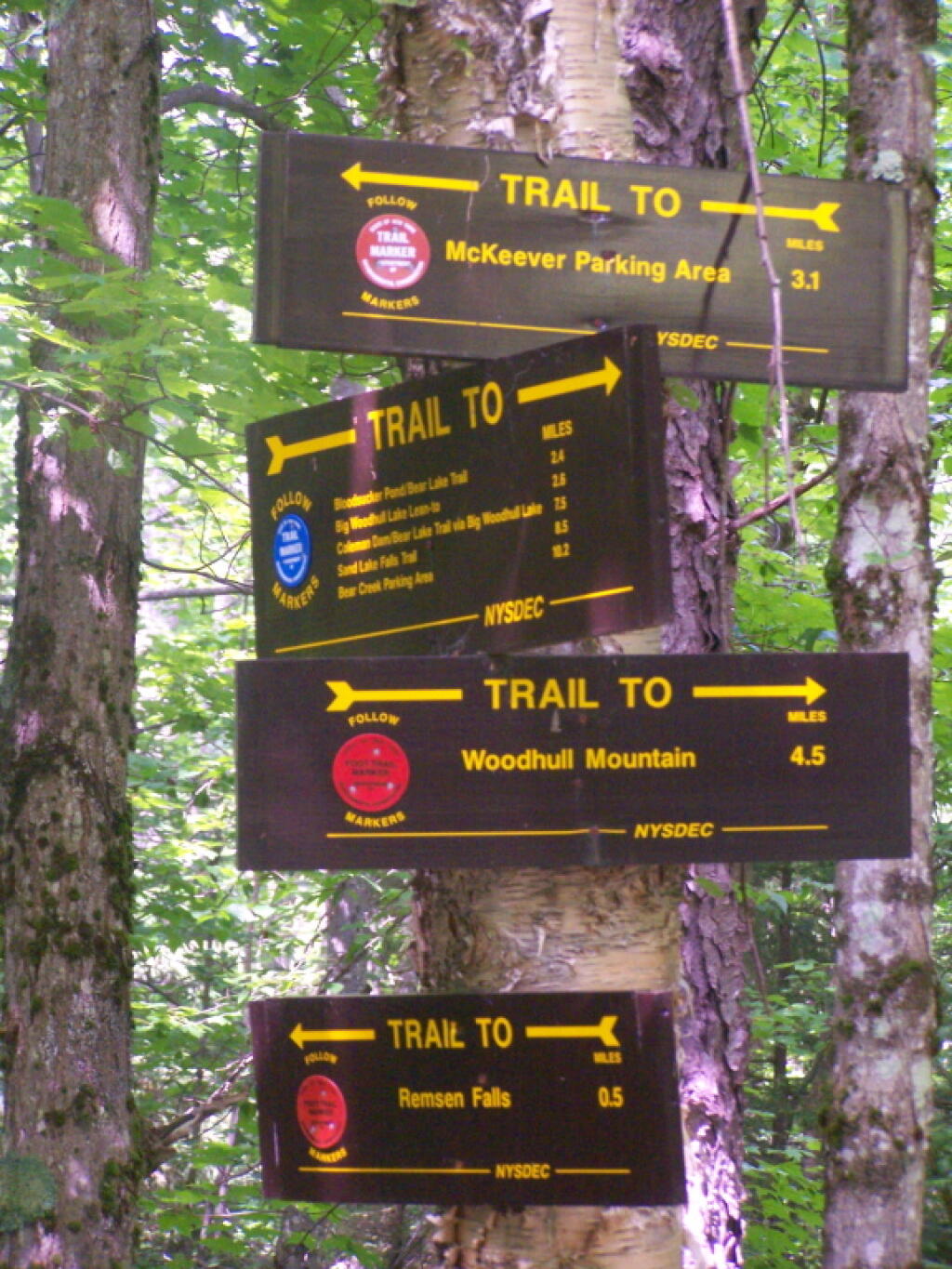 Intersection of Woodhull Mountain Trail and Remsen Falls Trail