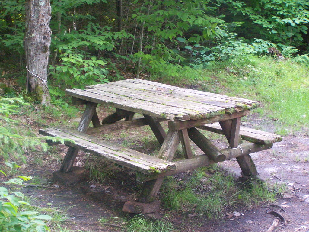 Decent Picnic Table at Campsite 2