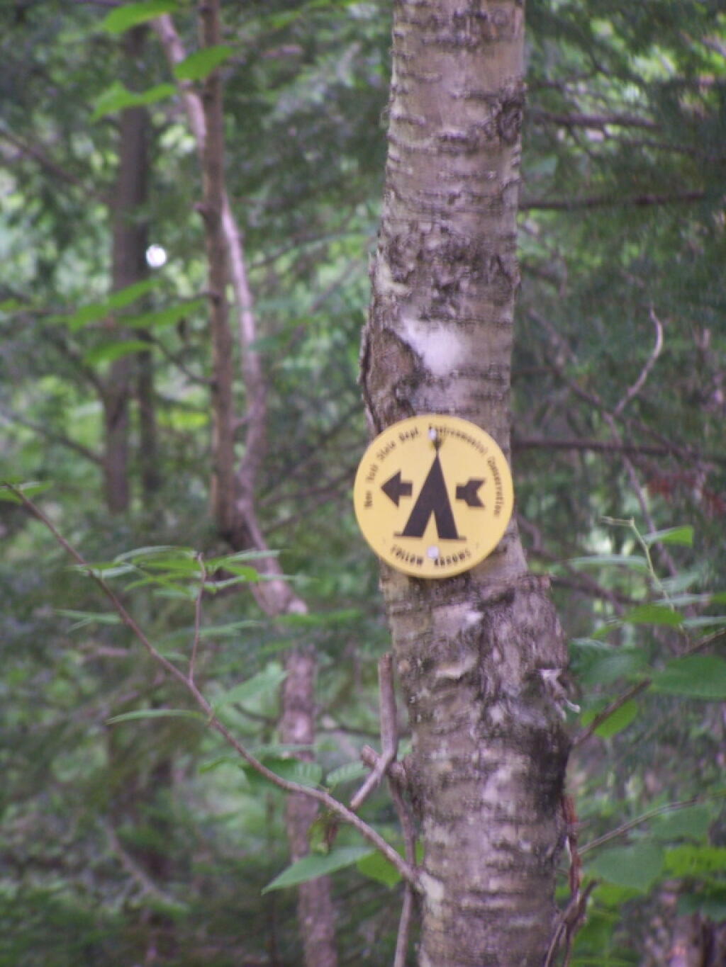 Camp Here Marker to Campsite 8