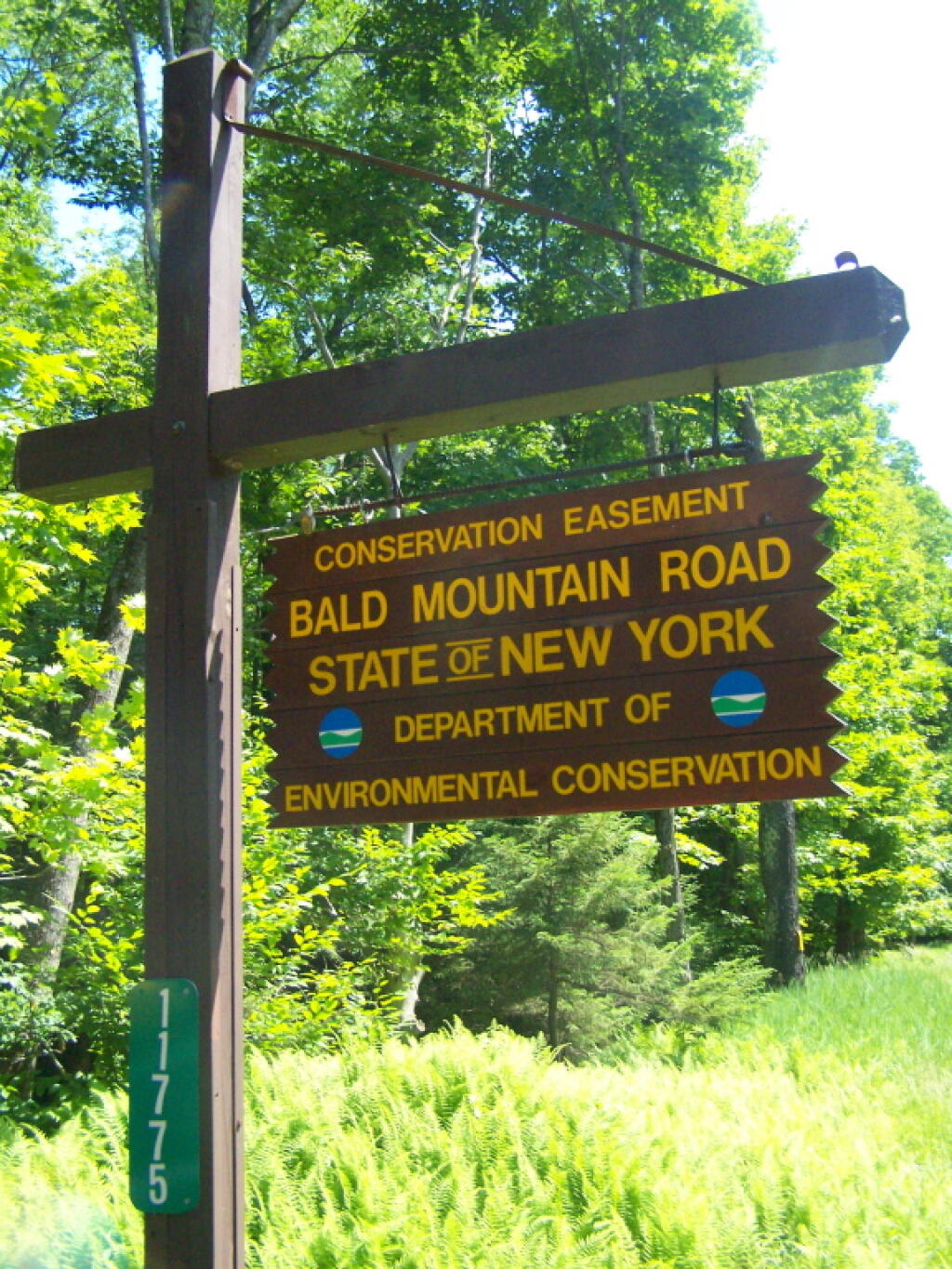 Bald Mountain Road Sign