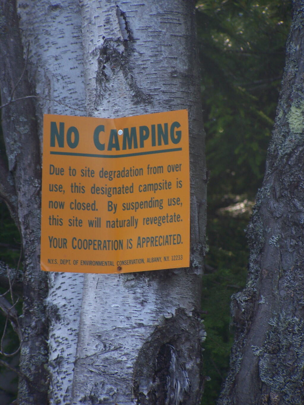 Due to Overuse Some Campsites Have Been Closed