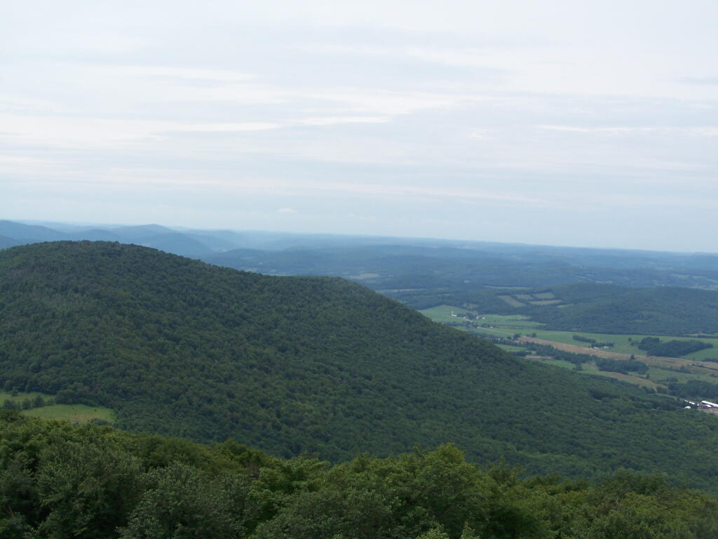 Churchill Mountain and West Branch of Delaware River Valley