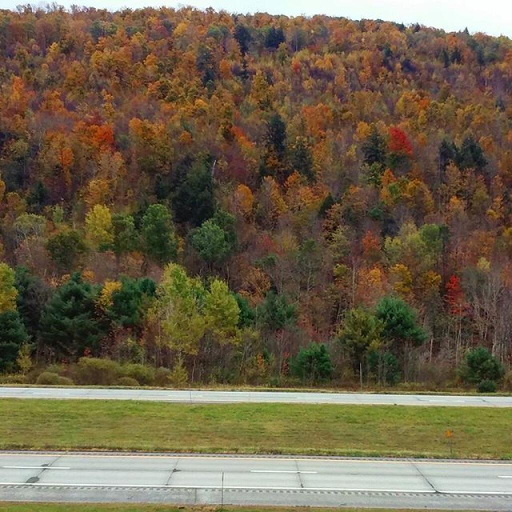 First Photo of the Great Autumn Road Trip #America #roadtrip #otsegocounty
