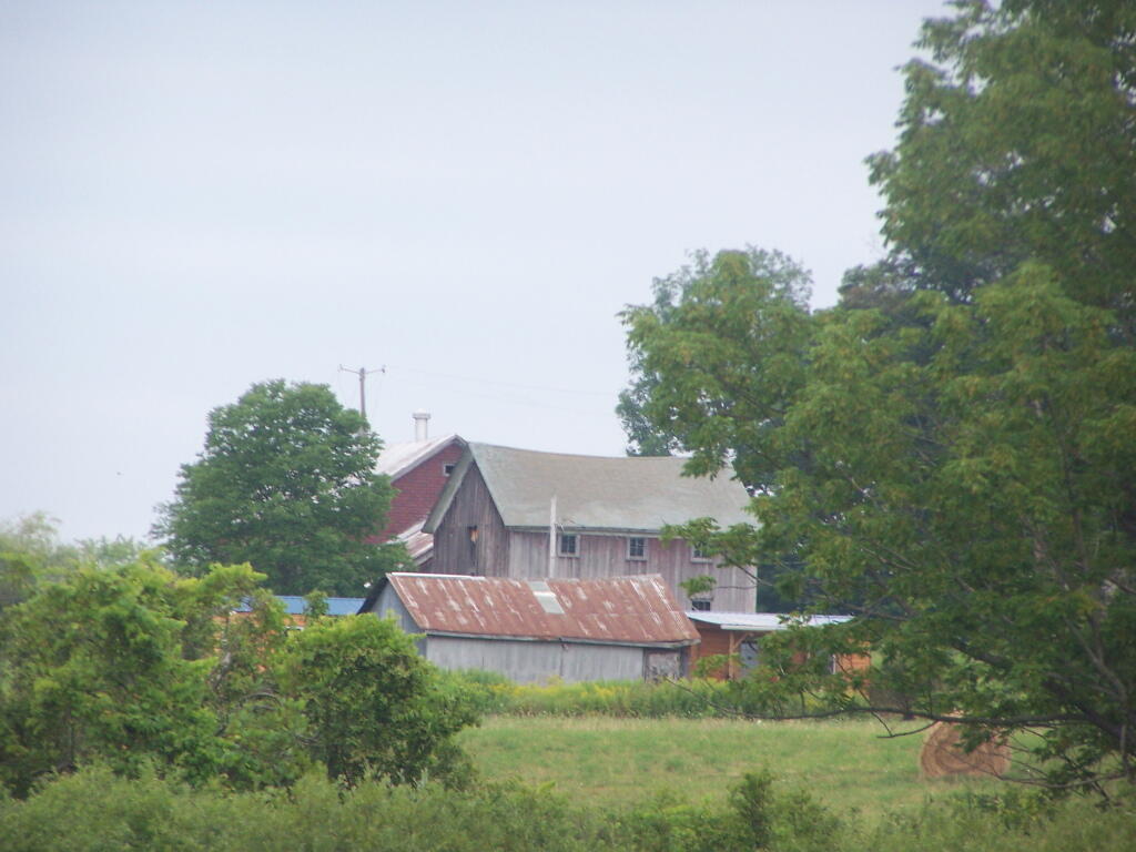 Barn Along NY 41
