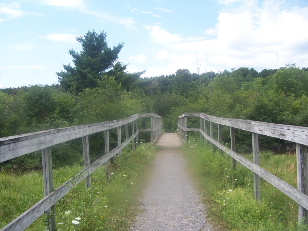 Horse Trail 60 Bridge