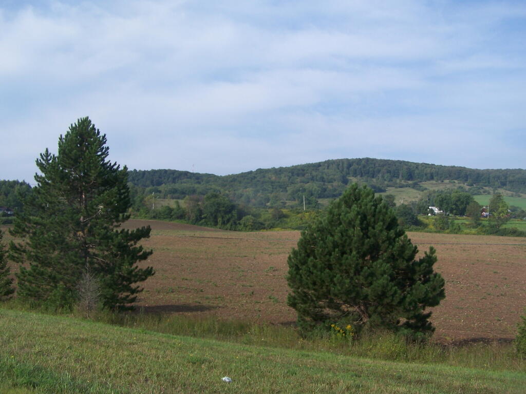 Rolling Farm Country Along NY 8