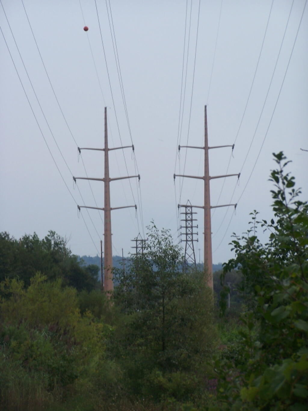 Interconnect Lines Over Utica Marsh