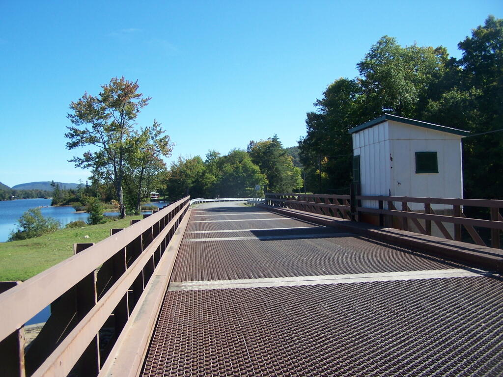 Steel Deck Bridge Over the Black River