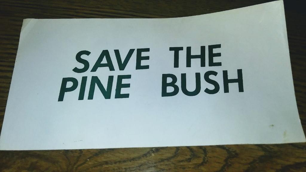 Save the Pine Bush Bumper Sticker