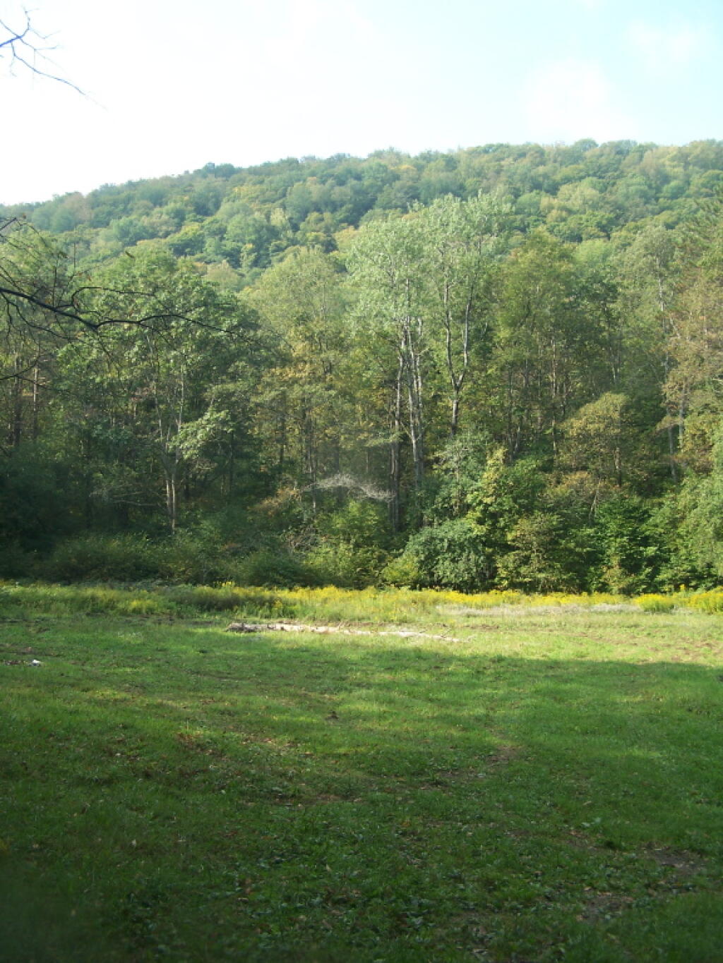 Open Field in Back of Former CC Camp
