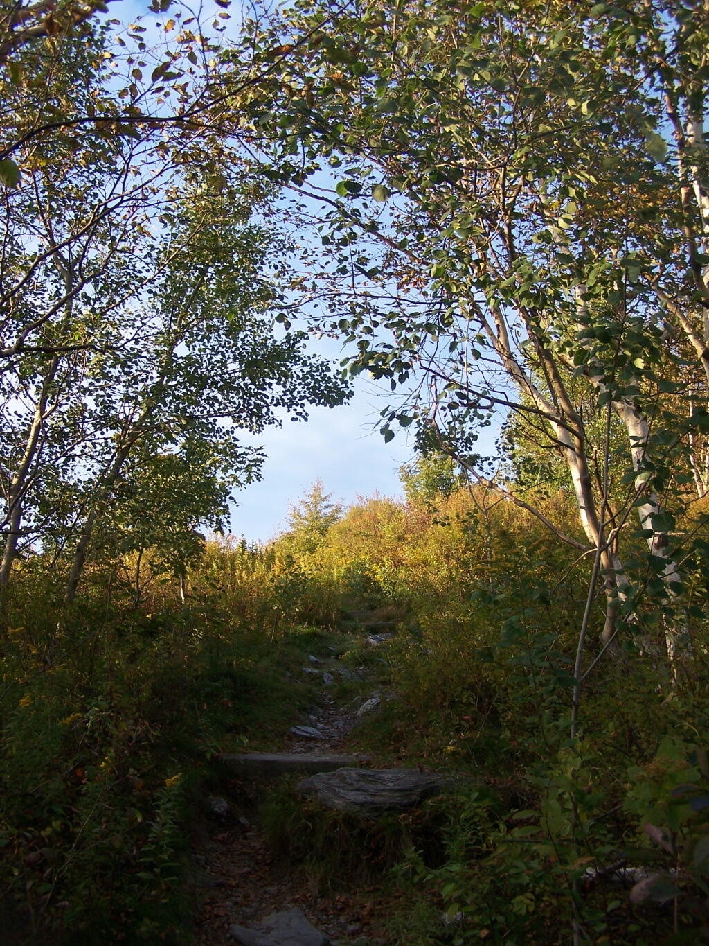 Heading Up Towards White Rocks