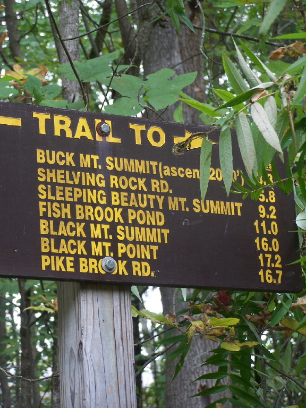 Distance to Summit