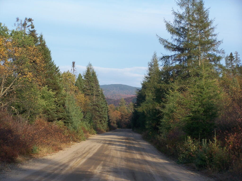 Moose River Road in the Plains