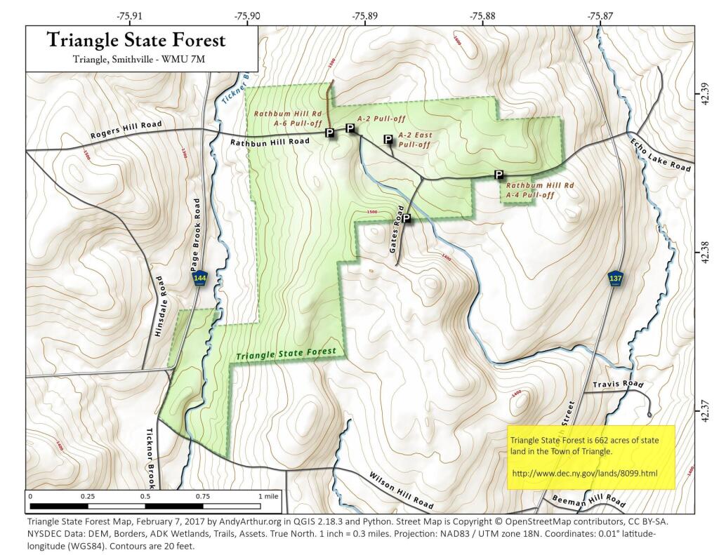  Triangle State Forest