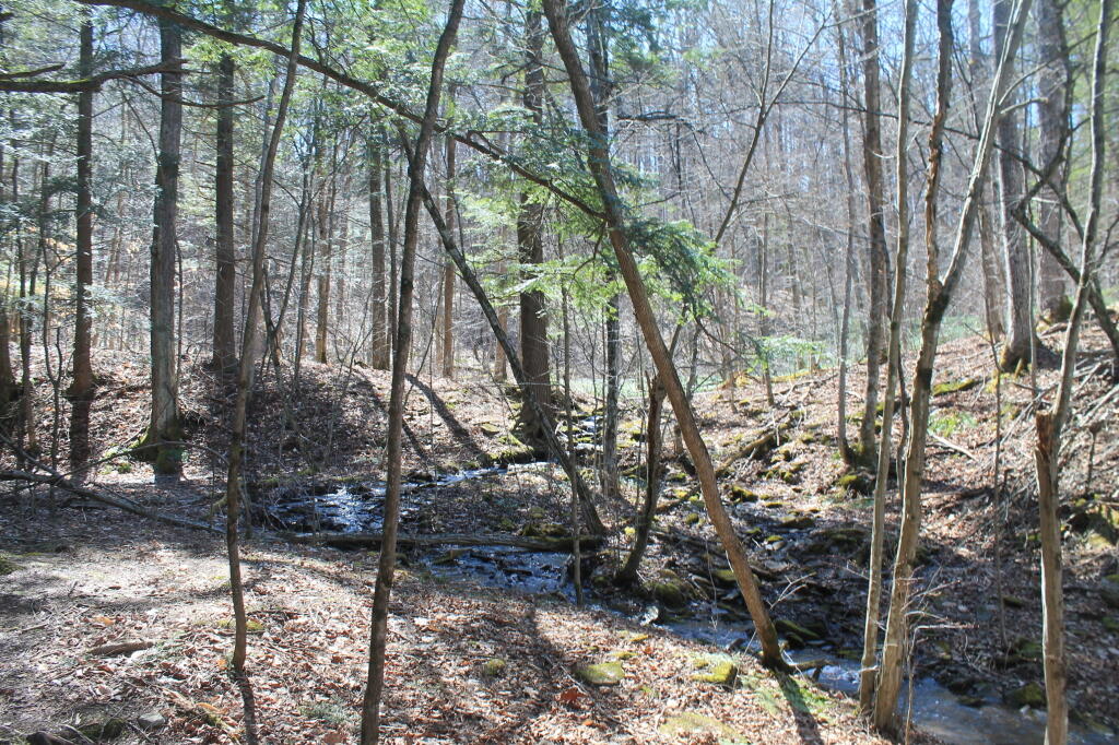Creek Flowing Into Bozenkill