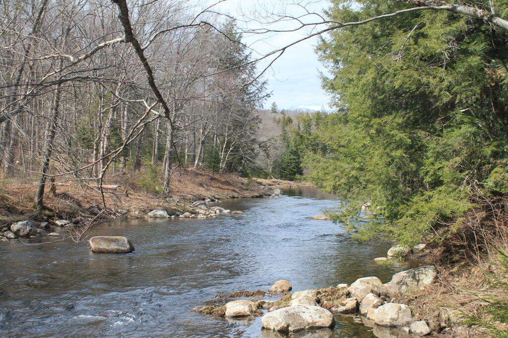 Photo: East Stony Creek
