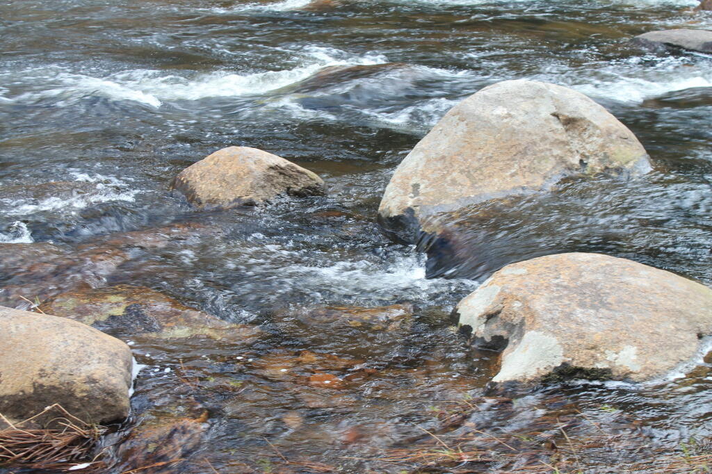 Stones in East Stony Creek