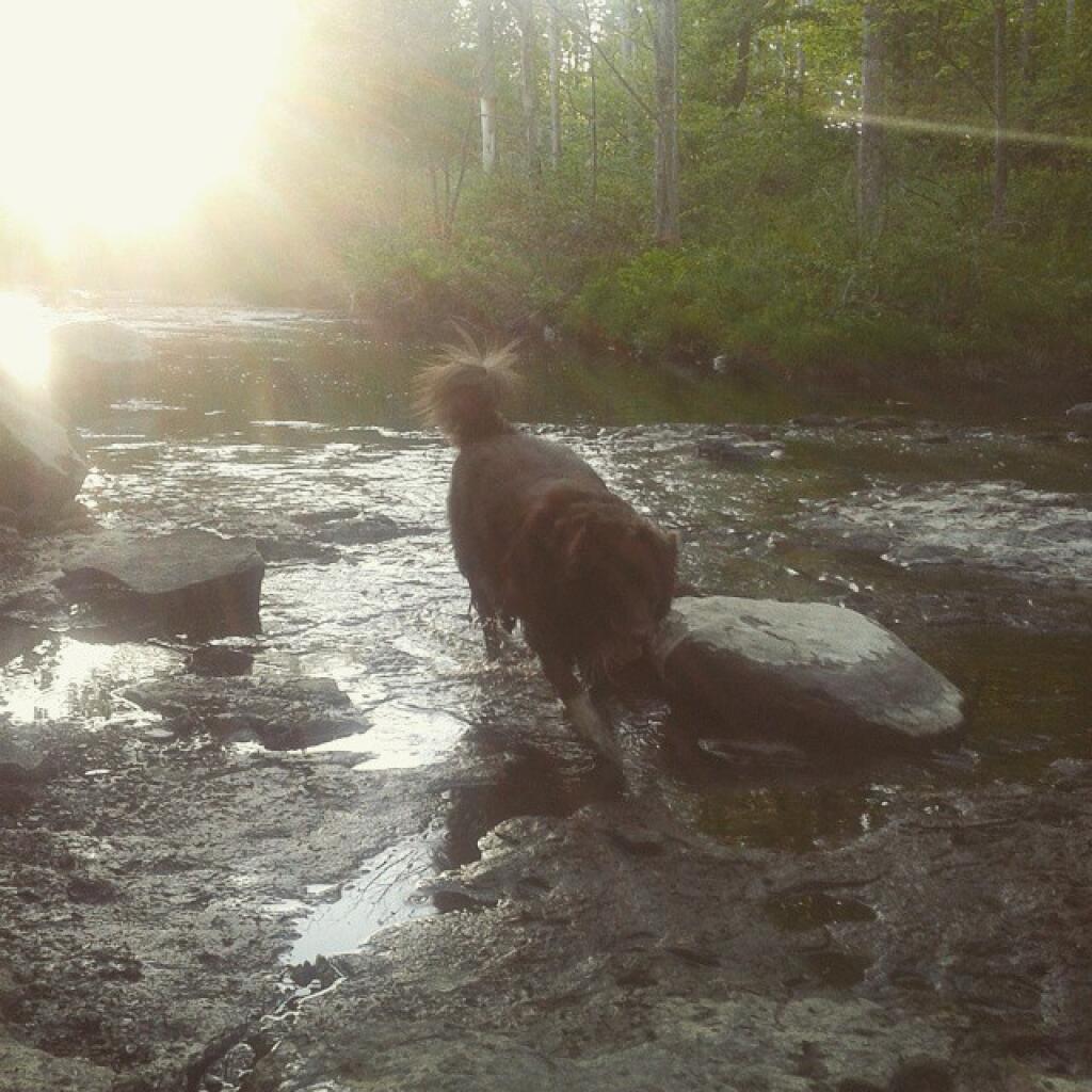 At the creek