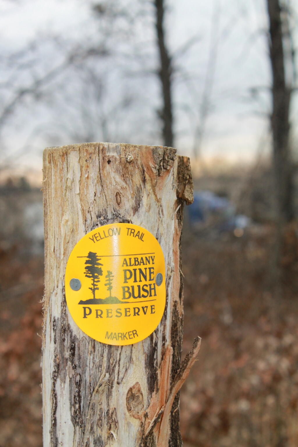 Yellow Trail Marker