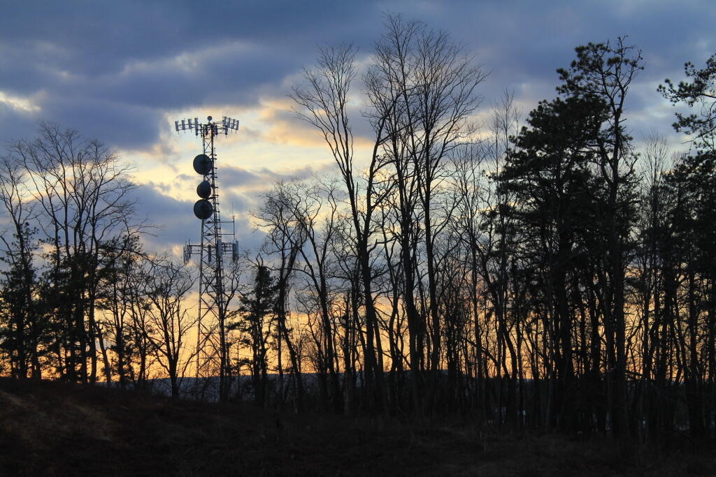 Aliens Invade the Pine Bush