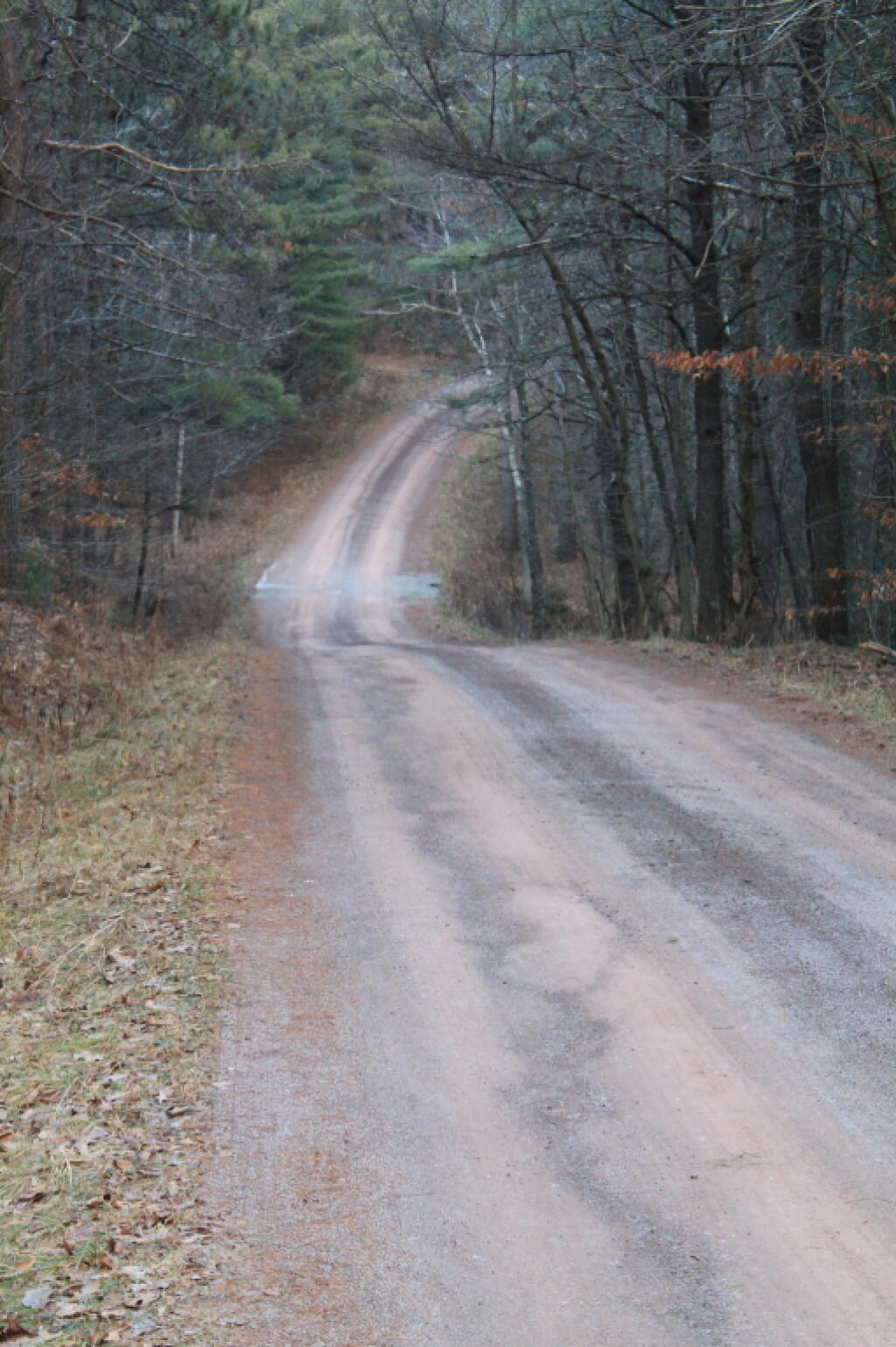 State Preserve Road