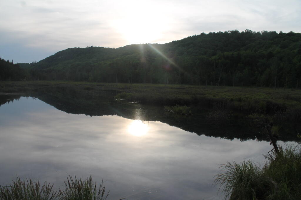 Sunset at Swamp Along Silver Run