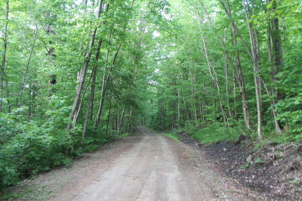 Open Section of Indian Lake Road
