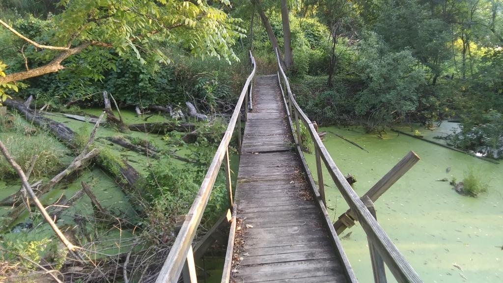 I just crossed this bridge and did not die.