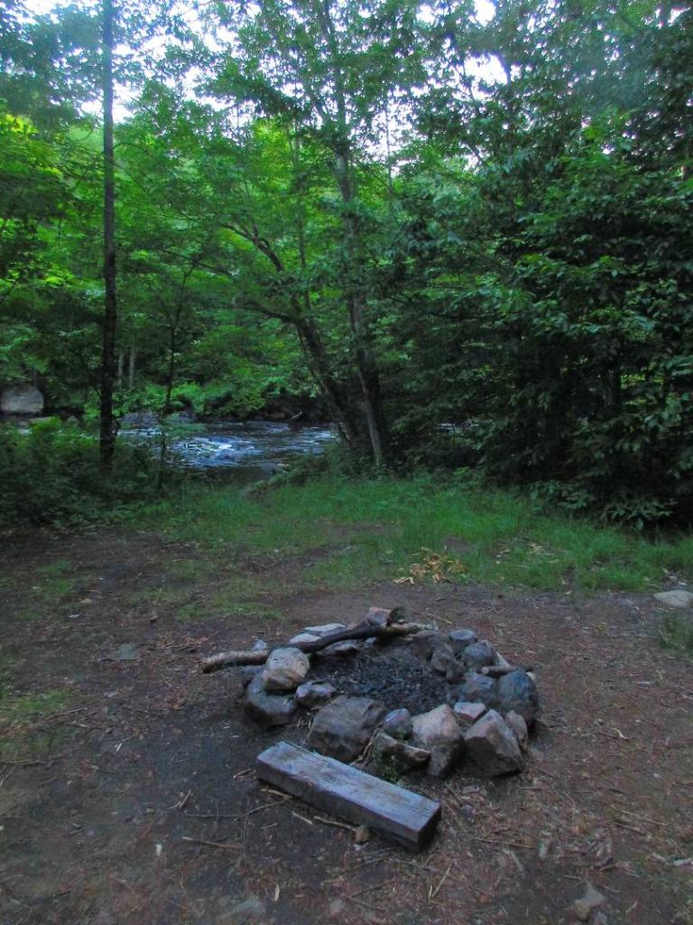Robbs Creek Campsite [Expires July 3 2024]