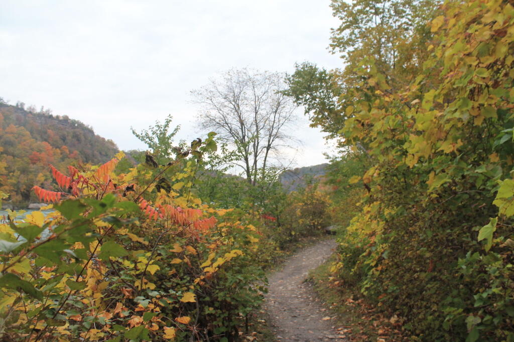 Fall Colors Along the Trail
